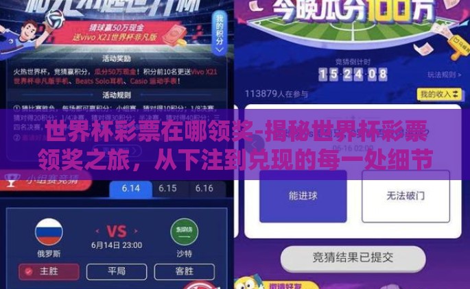 世界杯彩票在哪领奖-揭秘世界杯彩票领奖之旅，从下注到兑现的每一处细节