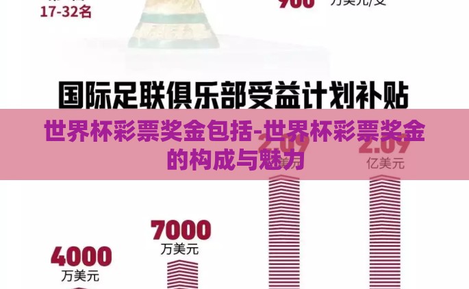 世界杯彩票奖金包括-世界杯彩票奖金的构成与魅力