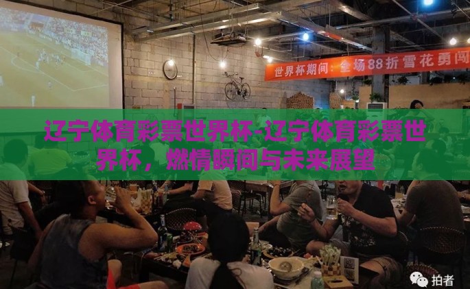 辽宁体育彩票世界杯-辽宁体育彩票世界杯，燃情瞬间与未来展望