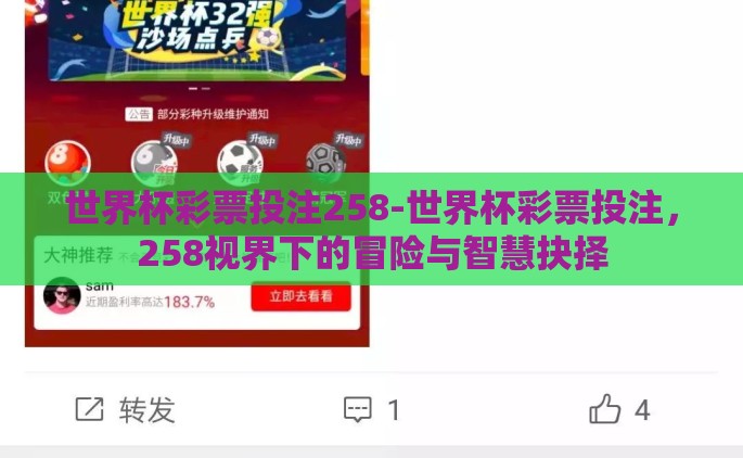 世界杯彩票投注258-世界杯彩票投注，258视界下的冒险与智慧抉择