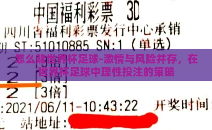 怎么赌世界杯足球-激情与风险并存，在世界杯足球中理性投注的策略