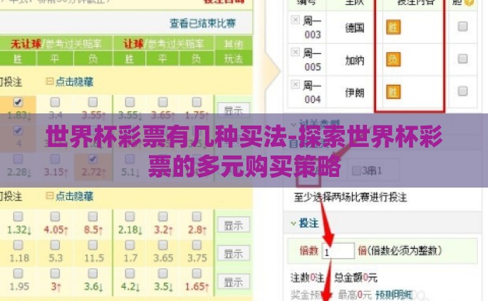 世界杯彩票有几种买法-探索世界杯彩票的多元购买策略