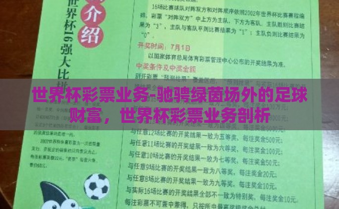 世界杯彩票业务-驰骋绿茵场外的足球财富，世界杯彩票业务剖析
