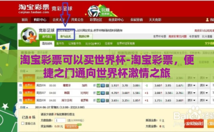 淘宝彩票可以买世界杯-淘宝彩票，便捷之门通向世界杯激情之旅