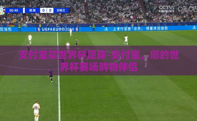 支付宝买世界杯足球-支付宝，您的世界杯赛场购物伴侣