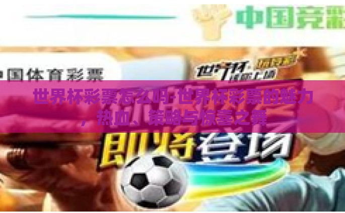 世界杯彩票怎么吗-世界杯彩票的魅力，热血、策略与惊喜之舞