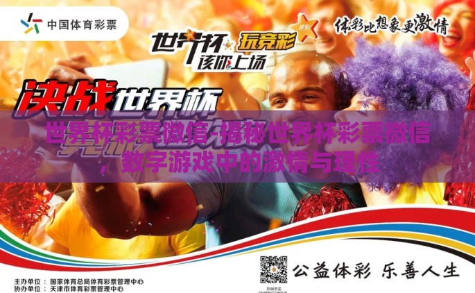 世界杯彩票微信-揭秘世界杯彩票微信，数字游戏中的激情与理性