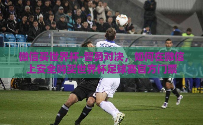 微信买世界杯-智勇对决，如何在微信上安全购买世界杯足球赛官方门票