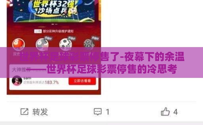 世界杯足球彩票停售了-夜幕下的余温——世界杯足球彩票停售的冷思考