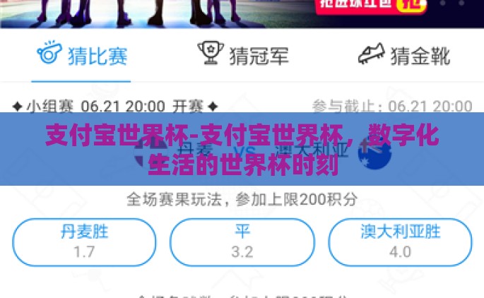 支付宝世界杯-支付宝世界杯，数字化生活的世界杯时刻