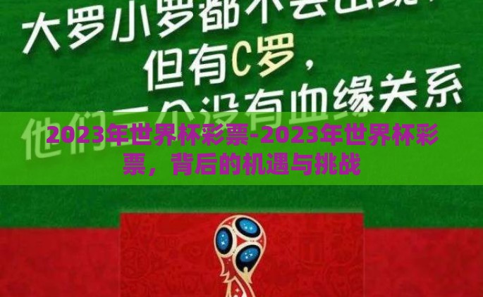 2023年世界杯彩票-2023年世界杯彩票，背后的机遇与挑战