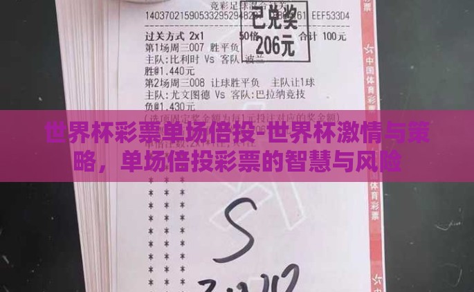 世界杯彩票单场倍投-世界杯激情与策略，单场倍投彩票的智慧与风险