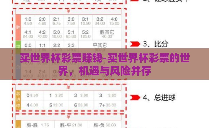 买世界杯彩票赚钱-买世界杯彩票的世界，机遇与风险并存