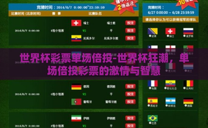 世界杯彩票单场倍投-世界杯狂潮，单场倍投彩票的激情与智慧
