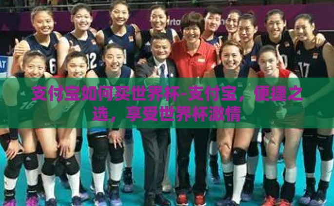 支付宝如何买世界杯-支付宝，便捷之选，享受世界杯激情