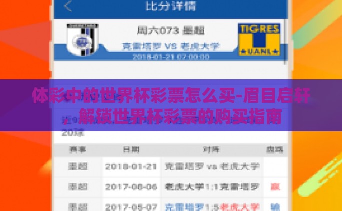 体彩中的世界杯彩票怎么买-眉目启轩，解锁世界杯彩票的购买指南