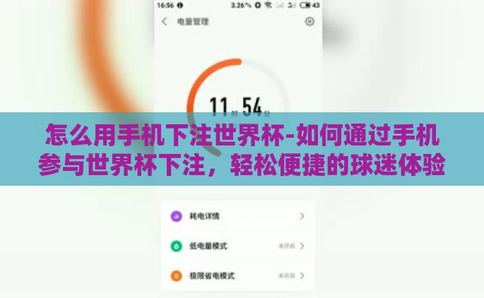 怎么用手机下注世界杯-如何通过手机参与世界杯下注，轻松便捷的球迷体验