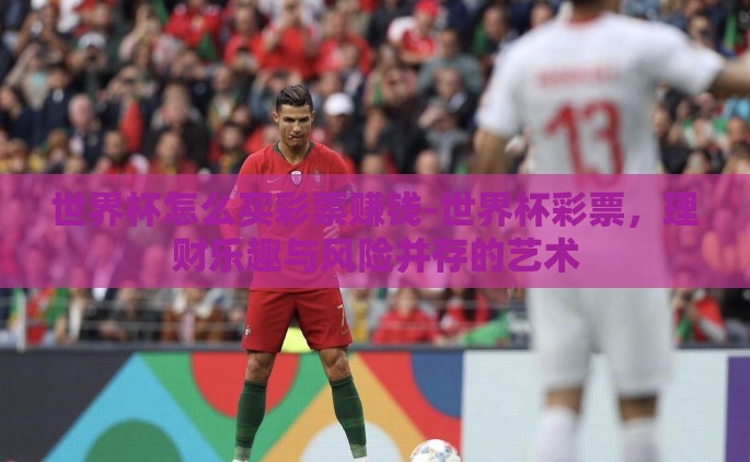 世界杯怎么买彩票赚钱-世界杯彩票，理财乐趣与风险并存的艺术