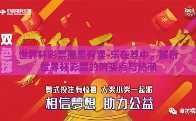 世界杯彩票那里有卖-乐在其中，解析世界杯彩票的购买点与热潮