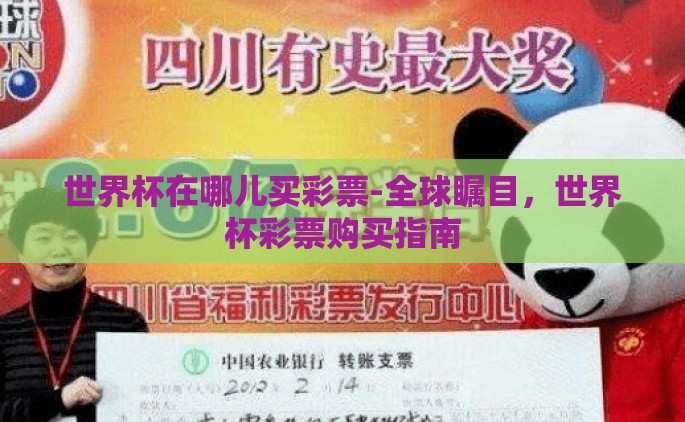 世界杯在哪儿买彩票-全球瞩目，世界杯彩票购买指南