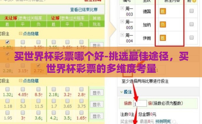 买世界杯彩票哪个好-挑选最佳途径，买世界杯彩票的多维度考量