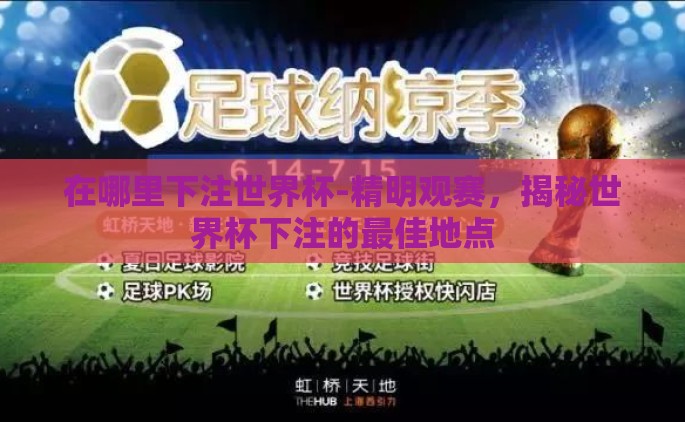 在哪里下注世界杯-精明观赛，揭秘世界杯下注的最佳地点