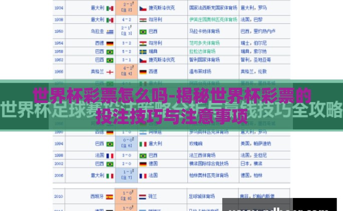 世界杯彩票怎么吗-揭秘世界杯彩票的投注技巧与注意事项