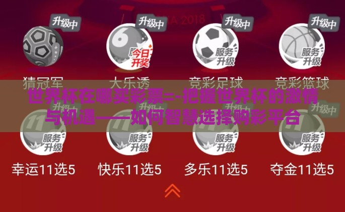 世界杯在哪买彩票=-把握世界杯的激情与机遇——如何智慧选择购彩平台