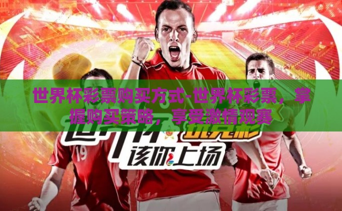世界杯彩票购买方式-世界杯彩票，掌握购买策略，享受激情观赛