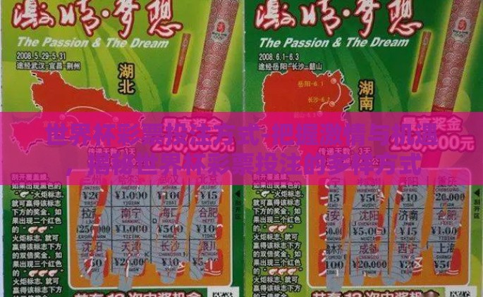 世界杯彩票投注方式-把握激情与机遇，揭秘世界杯彩票投注的多样方式