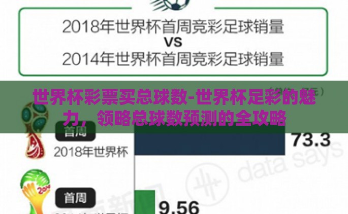 世界杯彩票买总球数-世界杯足彩的魅力，领略总球数预测的全攻略
