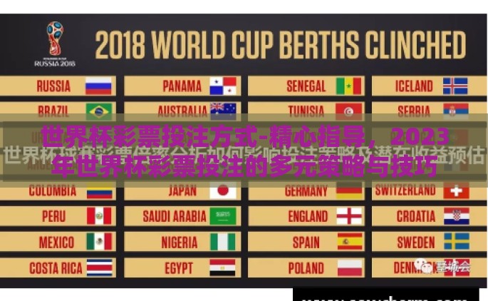 世界杯彩票投注方式-精心指导，2023年世界杯彩票投注的多元策略与技巧