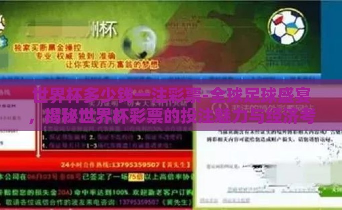 世界杯多少钱一注彩票-全球足球盛宴，揭秘世界杯彩票的投注魅力与经济考量
