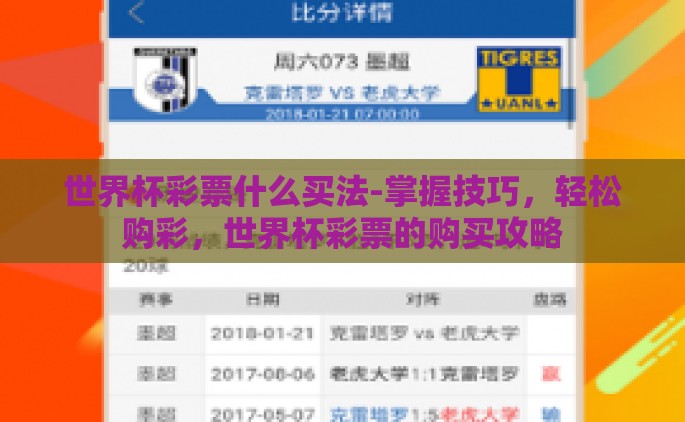 世界杯彩票什么买法-掌握技巧，轻松购彩，世界杯彩票的购买攻略