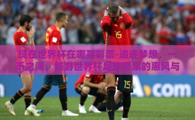 现在世界杯在哪买彩票-追逐梦想，一币之间，畅游世界杯足球彩票的惠风与理性