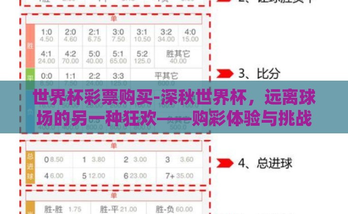 世界杯彩票购买-深秋世界杯，远离球场的另一种狂欢——购彩体验与挑战