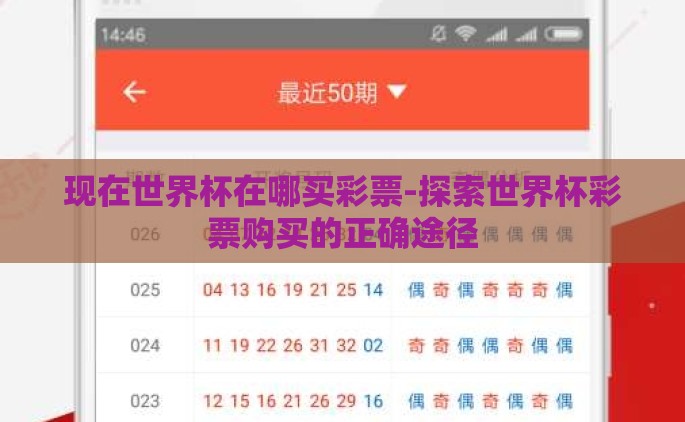 现在世界杯在哪买彩票-探索世界杯彩票购买的正确途径