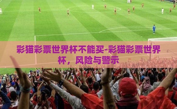 彩猫彩票世界杯不能买-彩猫彩票世界杯，风险与警示