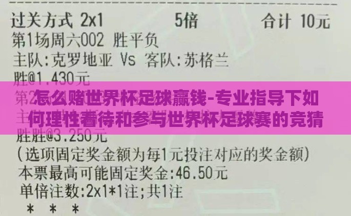 怎么赌世界杯足球赢钱-专业指导下如何理性看待和参与世界杯足球赛的竞猜活动