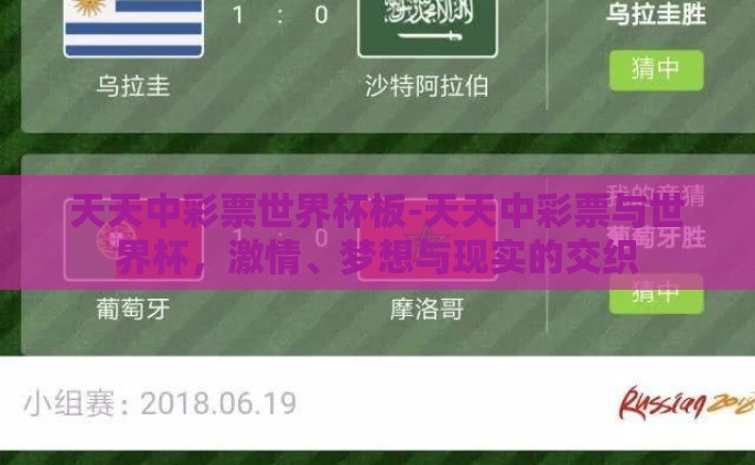 天天中彩票世界杯板-天天中彩票与世界杯，激情、梦想与现实的交织