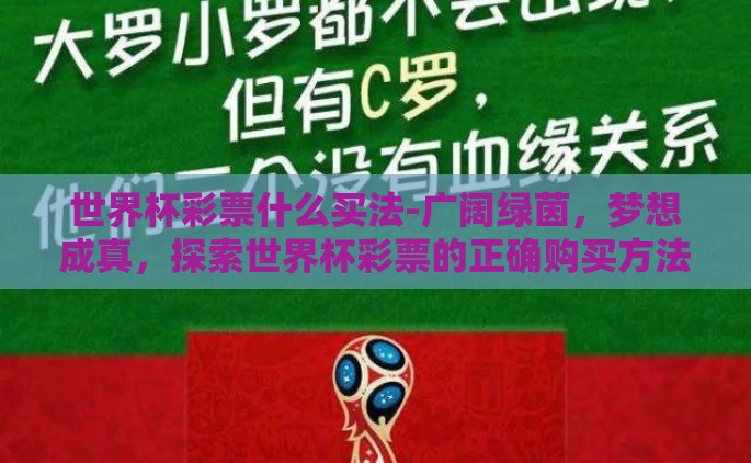 世界杯彩票什么买法-广阔绿茵，梦想成真，探索世界杯彩票的正确购买方法