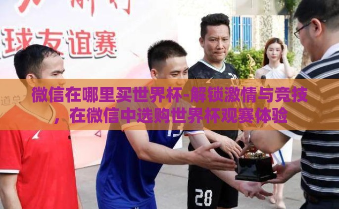 微信在哪里买世界杯-解锁激情与竞技，在微信中选购世界杯观赛体验
