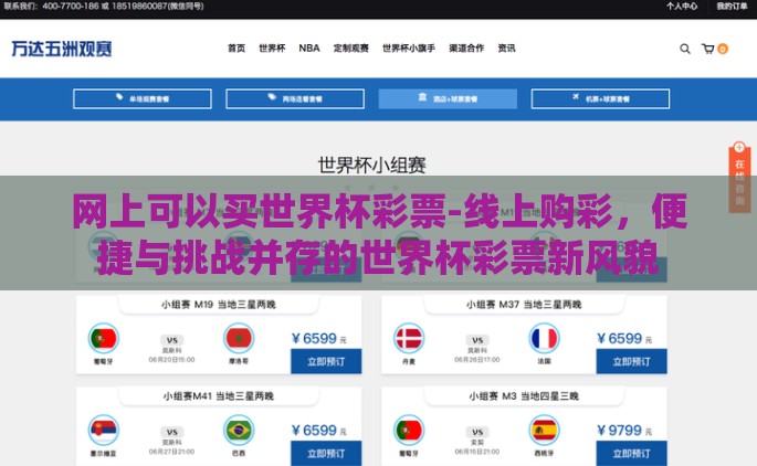 网上可以买世界杯彩票-线上购彩，便捷与挑战并存的世界杯彩票新风貌