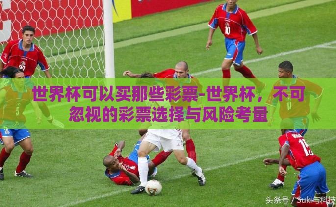 世界杯可以买那些彩票-世界杯，不可忽视的彩票选择与风险考量
