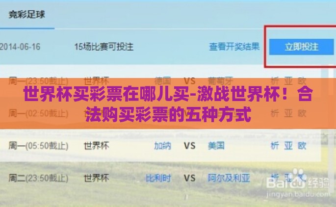 世界杯买彩票在哪儿买-激战世界杯！合法购买彩票的五种方式