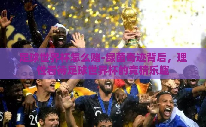 足球世界杯怎么赌-绿茵奇迹背后，理性看待足球世界杯的竞猜乐趣