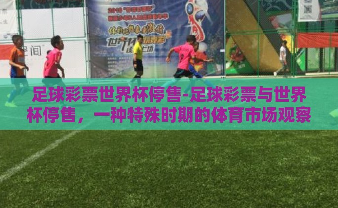 足球彩票世界杯停售-足球彩票与世界杯停售，一种特殊时期的体育市场观察