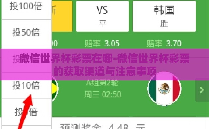 微信世界杯彩票在哪-微信世界杯彩票的获取渠道与注意事项