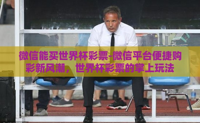 微信能买世界杯彩票-微信平台便捷购彩新风潮，世界杯彩票的掌上玩法