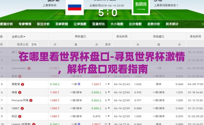 在哪里看世界杯盘口-寻觅世界杯激情，解析盘口观看指南